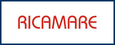 ricamare
